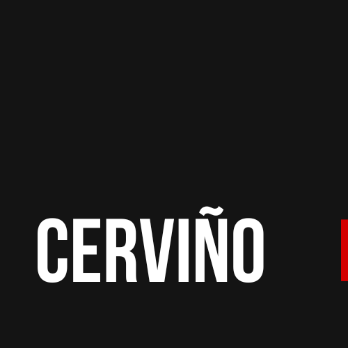 Cervino Enterprises Logo